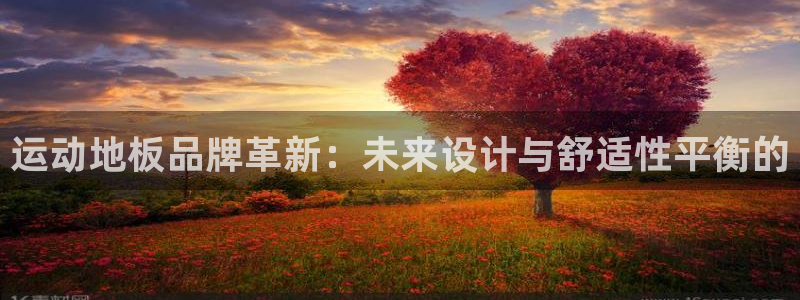 球宴体育app官方下载：运动地板品牌革新：未来设计与舒适性平衡的