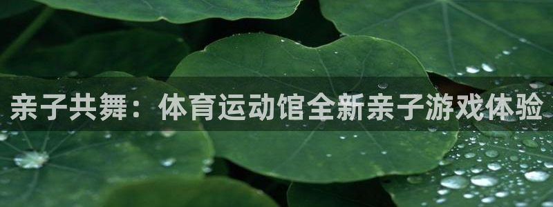 球宴体育比分：亲子共舞：体育运动馆全新亲子游戏体验