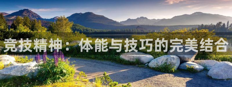 球宴体育iOS下载入口：竞技精神：体能与技巧的完美结合