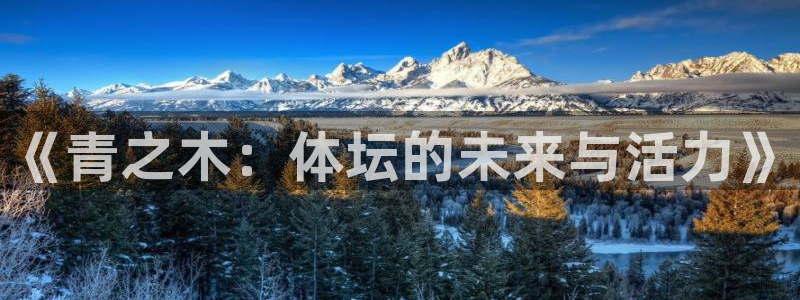 球宴体育app