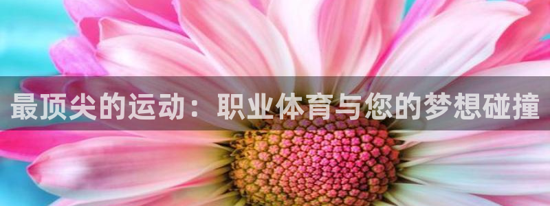 关键词：最顶尖的运动：职业体育与您的梦想碰撞