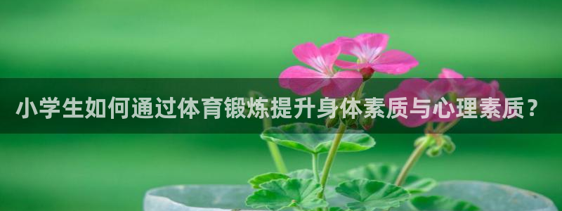 球宴体育下载最新版本更新内容