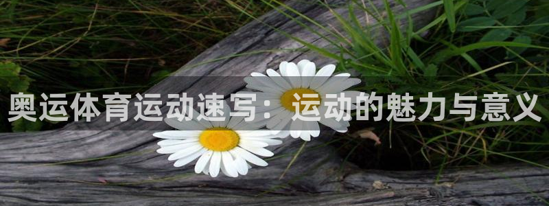 球宴体育