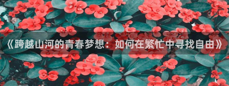 球宴体育app下载官网