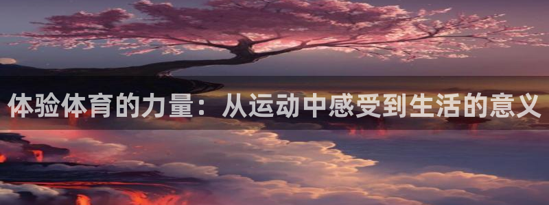 球宴体育iOS最新版本更新内容