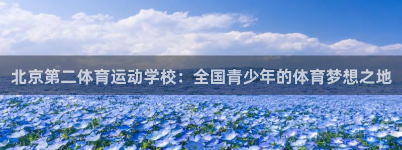 球宴体育app下载