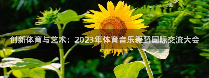 球宴体育官方