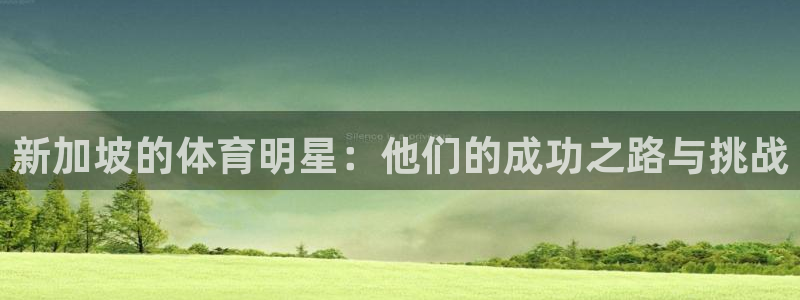 球宴体育app官方下载：新加坡的体育明星：他们的成功之路与挑战