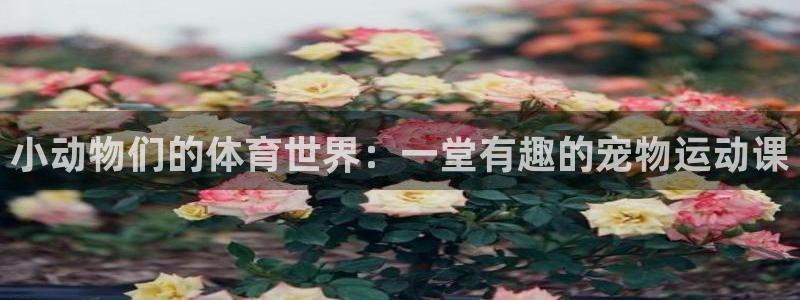 球宴体育下载